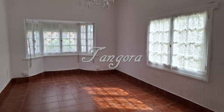 1763136174438 (Copy)