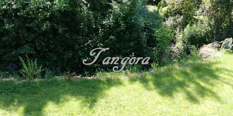 Captura de pantalla 2021-09-17 12.47.25 (Copy)