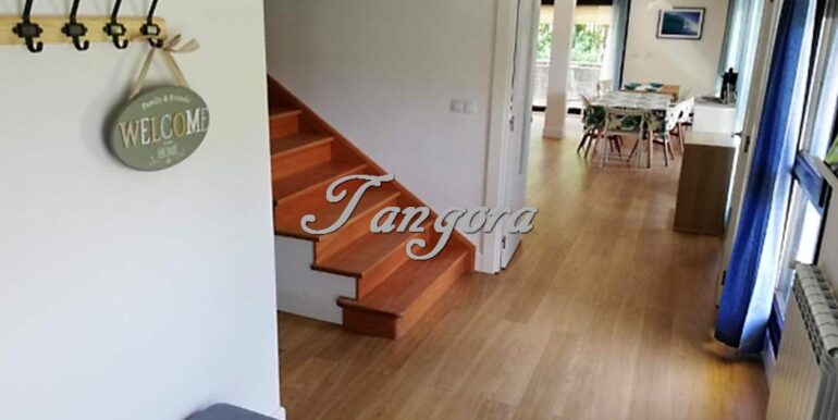 Captura de pantalla 2021-09-17 12.47.31 (Copy)