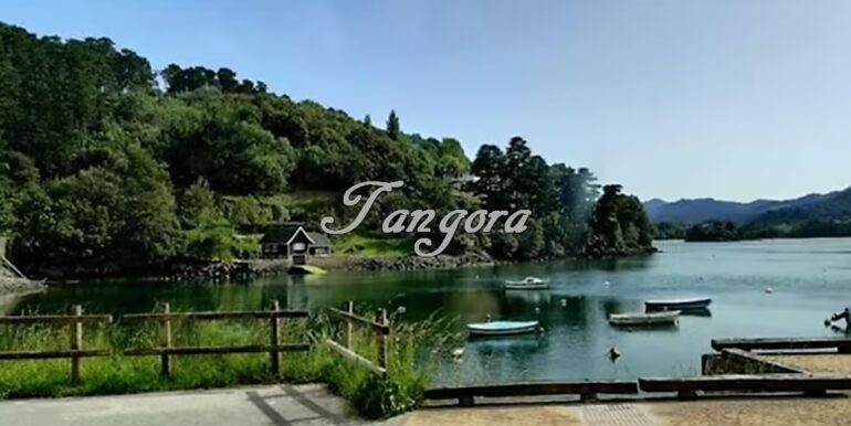 Captura de pantalla 2021-09-17 13.30.55 (Copy)