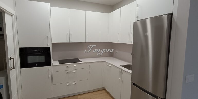 1740483904105 (Copy)