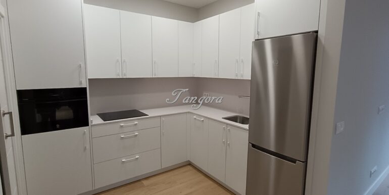 1740483904163 (Copy)