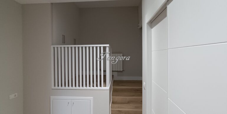 1740483922985 (Copy)