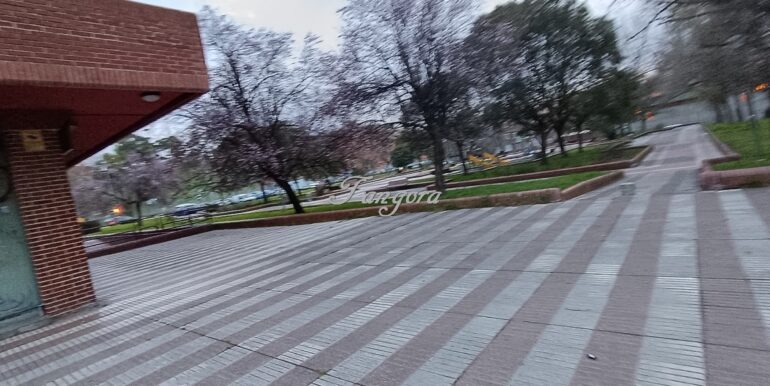 1740678712893 (Copy)