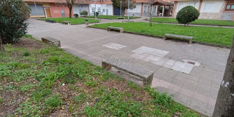 1769014021805 (Copy)