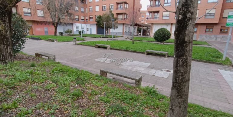 1769014021837 (Copy)