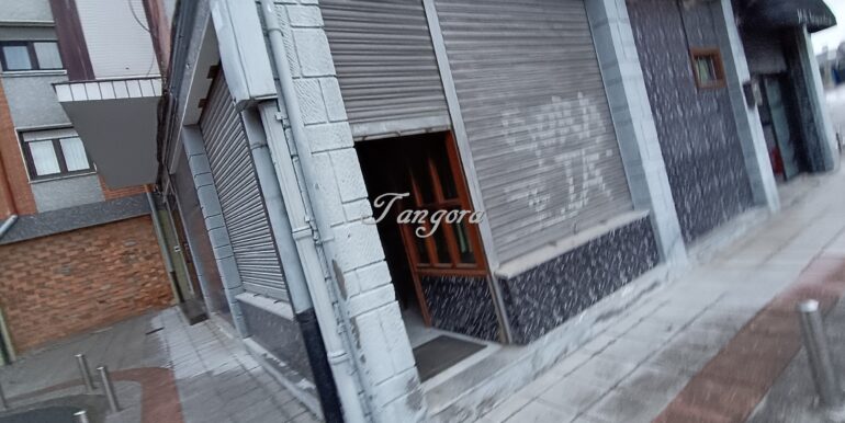 1769072065695 (Copy)