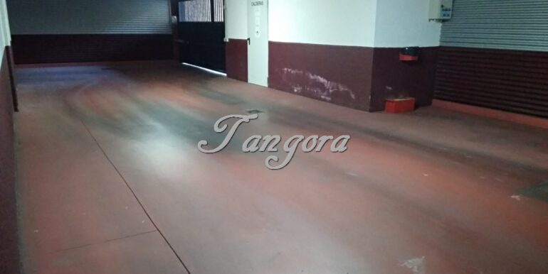 IMG_20200213_155932 (Copy)