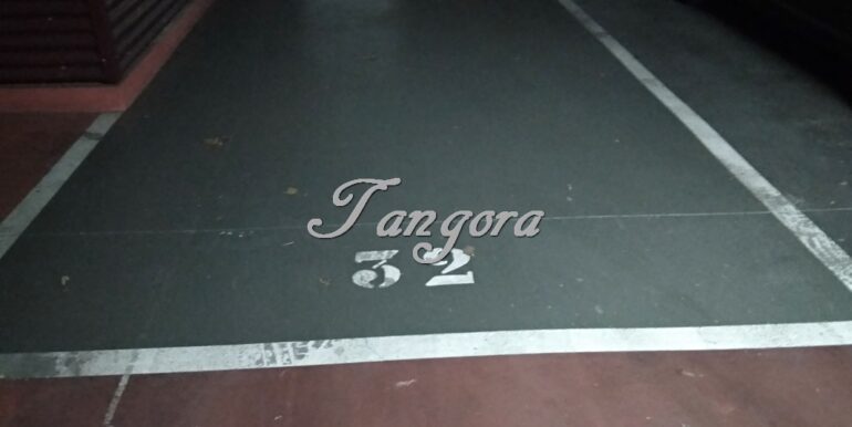 IMG_20200213_160007 (Copy)