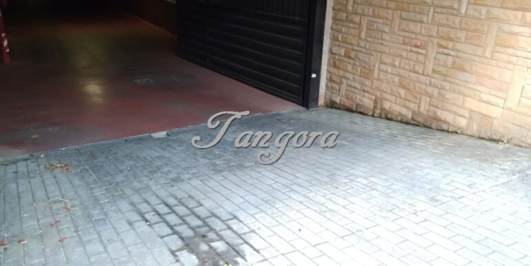 IMG_20200213_160045 (Copy)