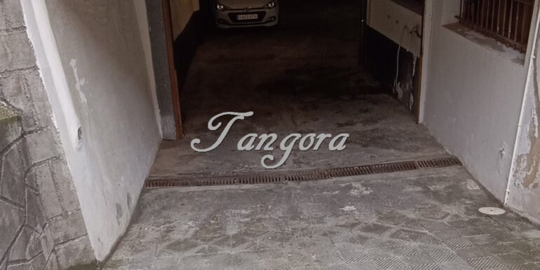 1770214898659 (Copy)