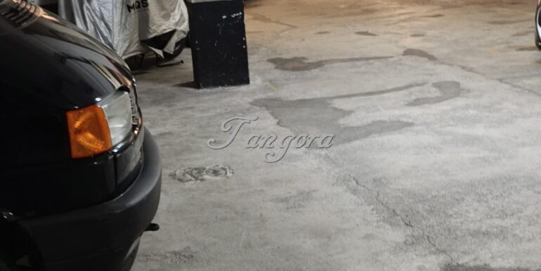 1770214898684 (Copy)