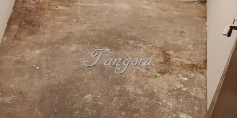 1770214934667 (Copy)