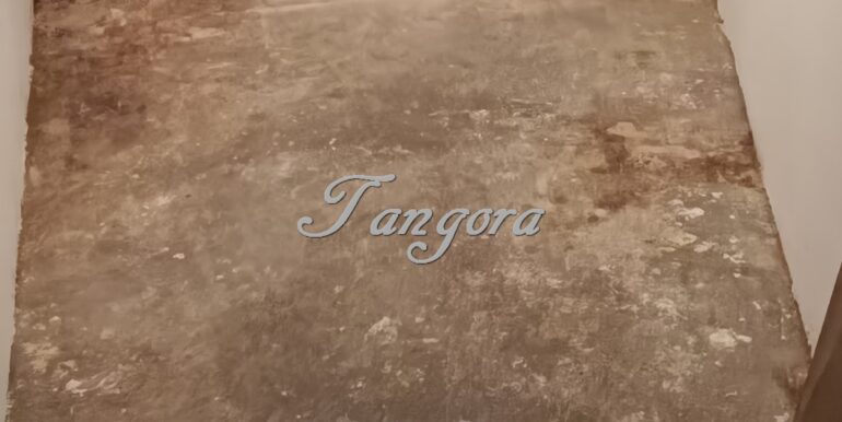 1770214934697 (Copy)