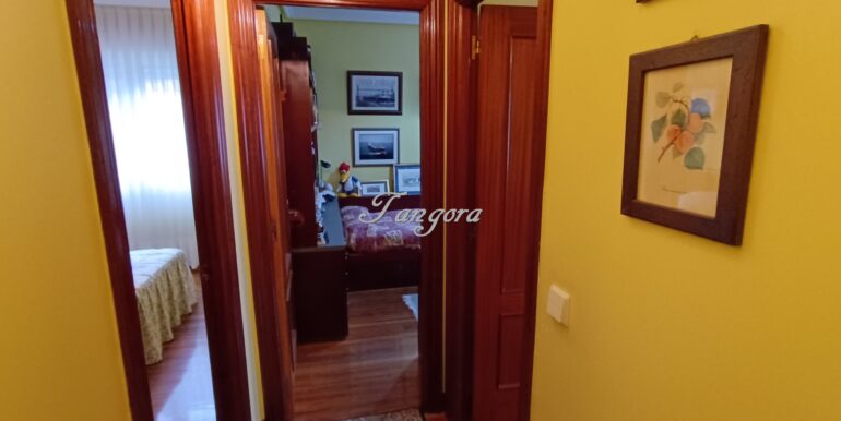 1770718346468 (Copy)