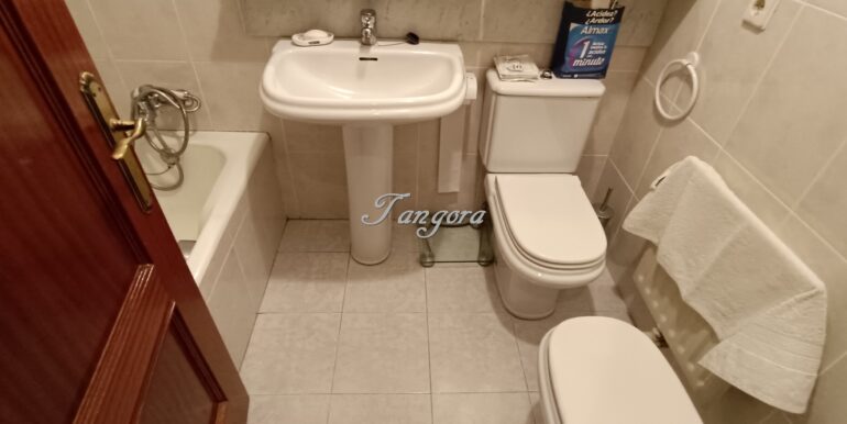 1770718346481 (Copy)