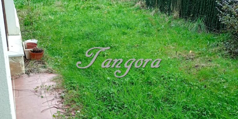 IMG-20260227-WA0009 (Copy)