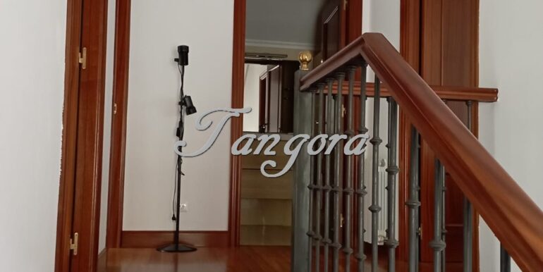 IMG-20260227-WA0027 (Copy)