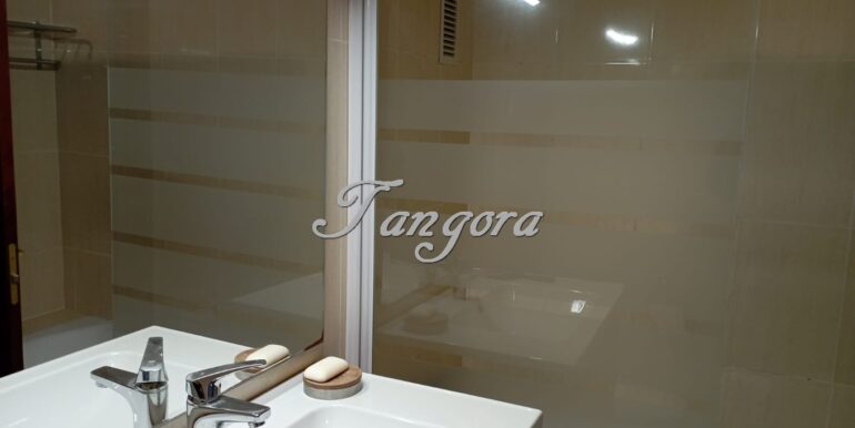 IMG-20260227-WA0035 (Copy)