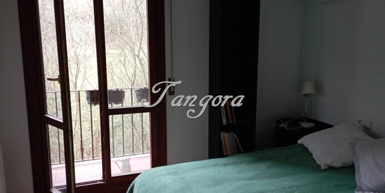 IMG-20260227-WA0037 (Copy)