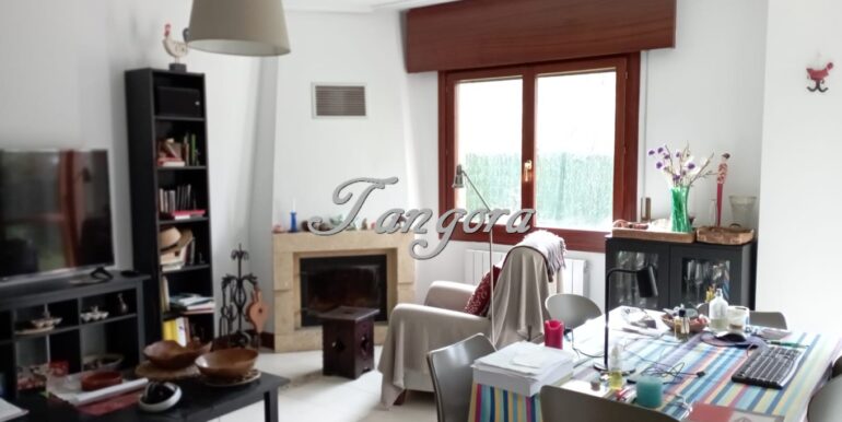 IMG-20260227-WA0052 (Copy)