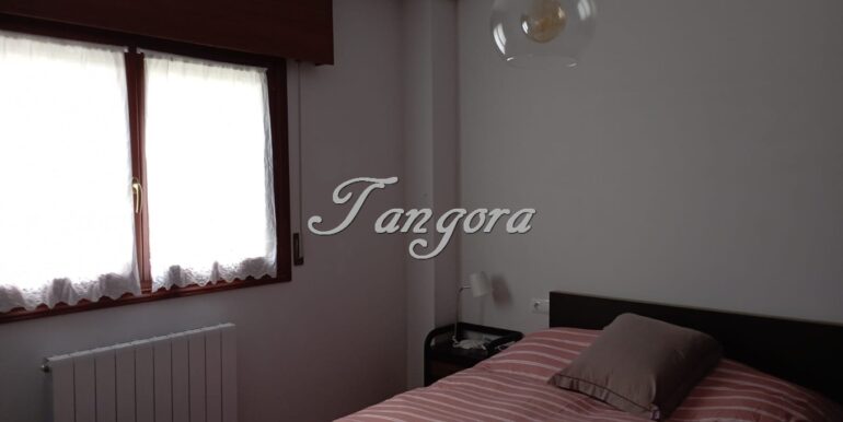 IMG-20260227-WA0054 (Copy)