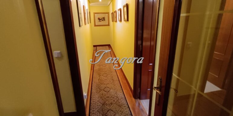 WhatsApp Image 2026-02-09 at 12.28.38 (Copy)