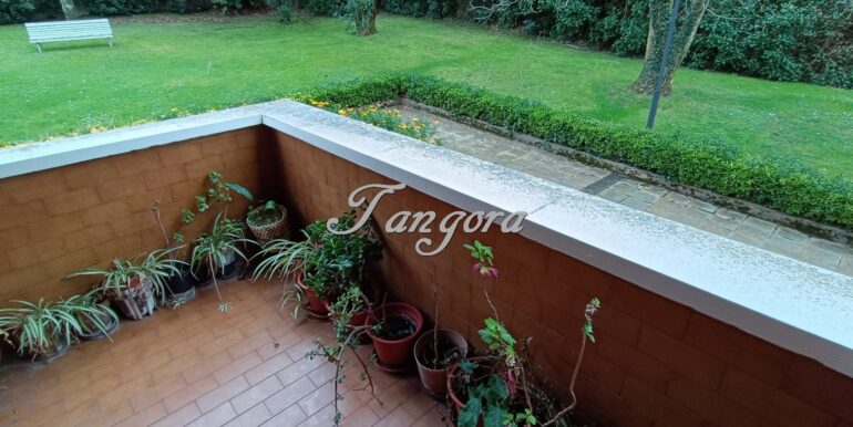 WhatsApp Image 2026-02-09 at 12.28.40 (2) (Copy)