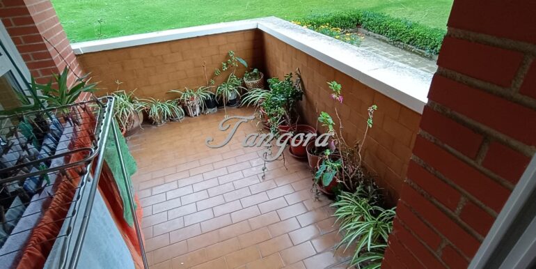 WhatsApp Image 2026-02-09 at 12.28.40 (3) (Copy)