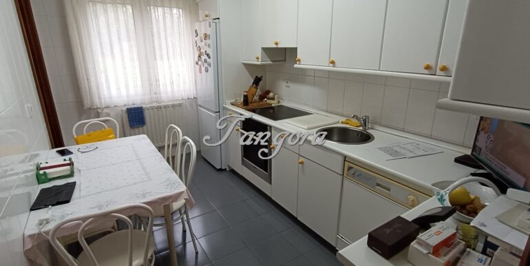 WhatsApp Image 2026-02-09 at 12.28.44 (3) (Copy)