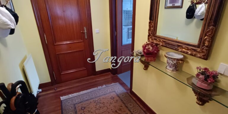 WhatsApp Image 2026-02-09 at 12.28.44 (4) (Copy)