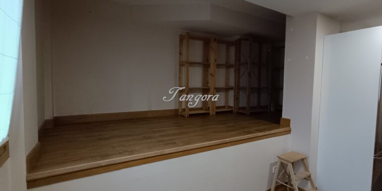 1733304249275 (Copy)