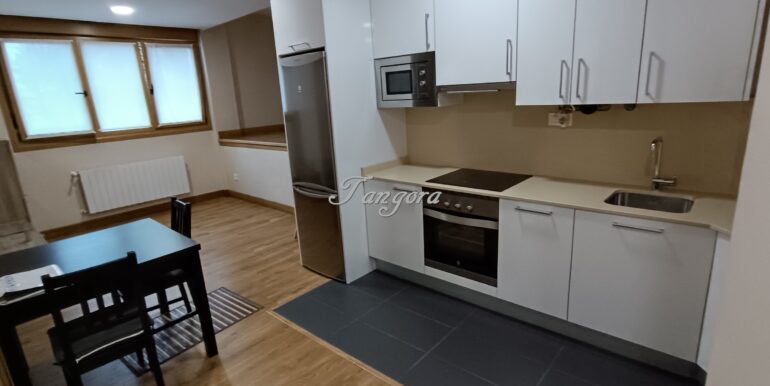 1733304249474 (Copy)