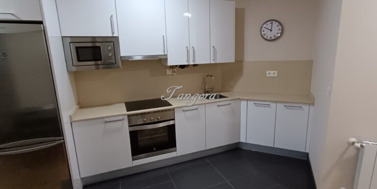 1733304249508 (Copy)