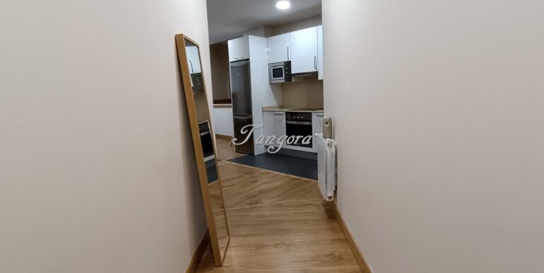 1733304249539 (Copy)