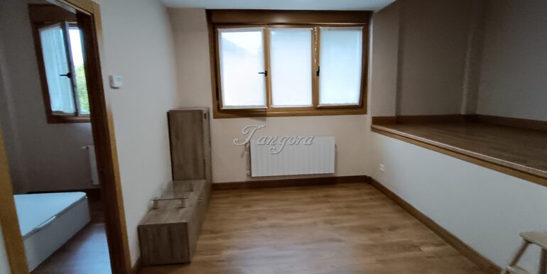 1733305021087 (Copy)