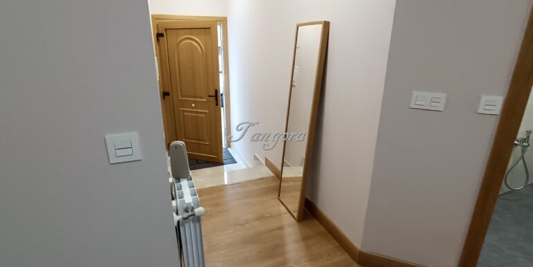 1733305058658 (Copy)