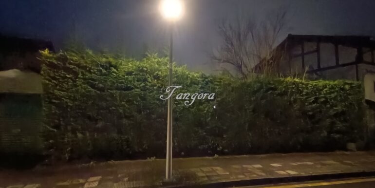 1770840039442 (Copy)