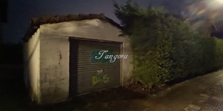 1770840039475 (Copy)