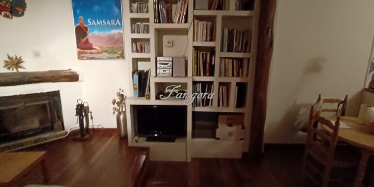 1770840039747 (Copy)