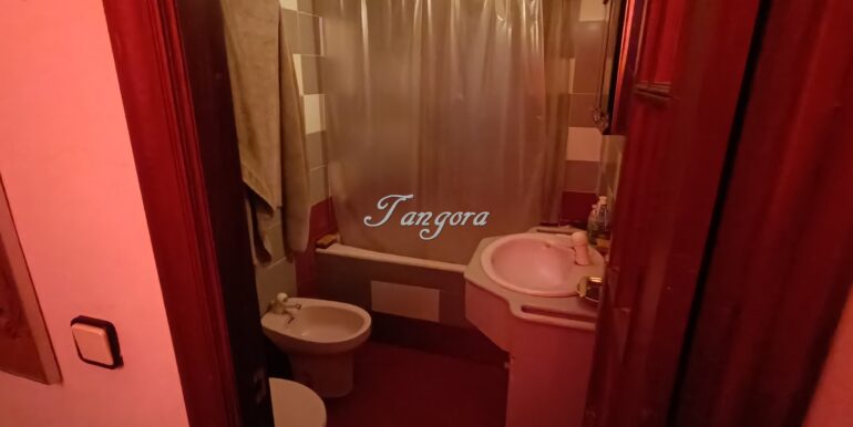 1770840059086 (Copy)