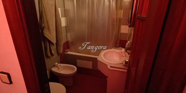 1770840059101 (Copy)