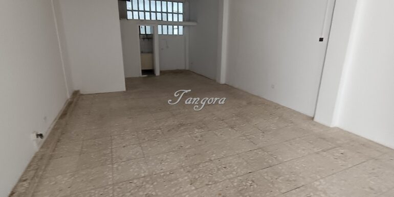 1772447344065 (Copy)