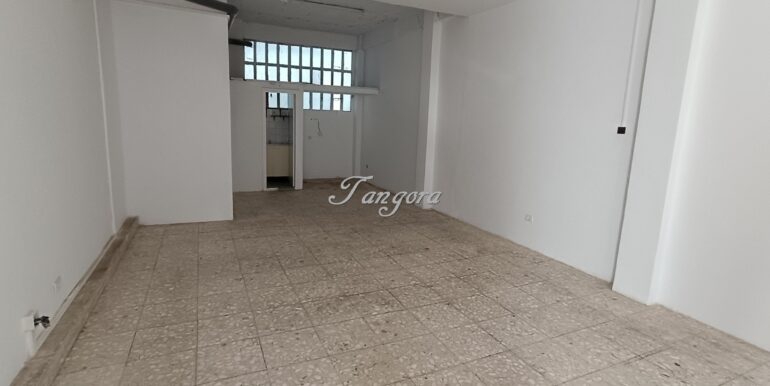 1772447344084 (Copy)