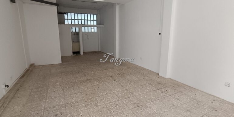 1772447344228 (Copy)