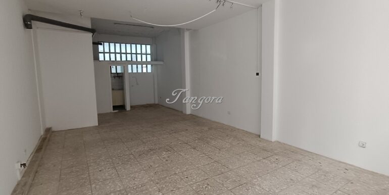 1772447344253 (Copy)