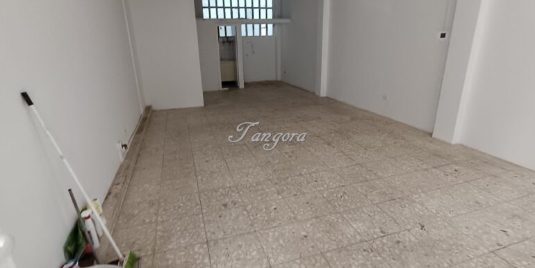 1772447344274 (Copy)