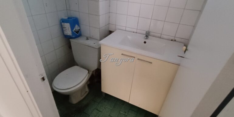 1772447344292 (Copy)