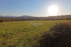 1773818504190 (Copy)