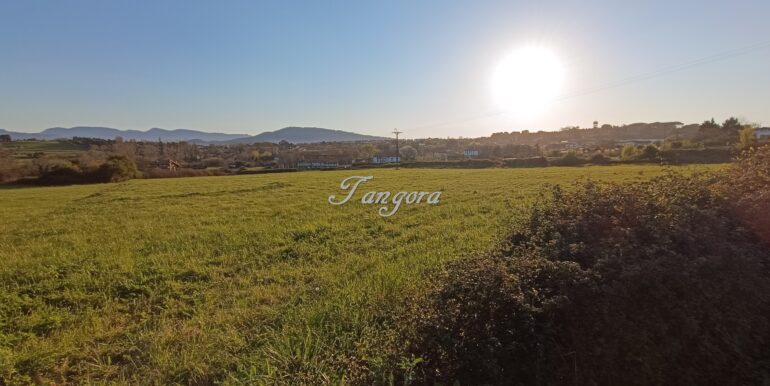 1773818504190 (Copy)